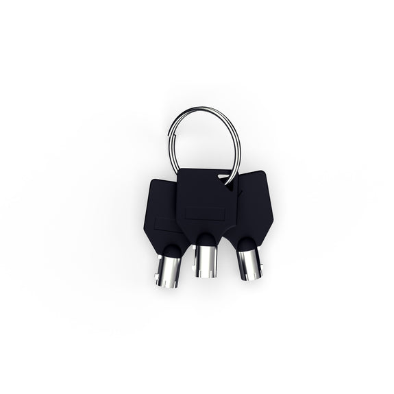 Parkeerpaal - Staal - 5x5x65cm - Incl. Sleutel - Afbeelding 5