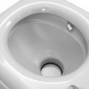 Campingtoilet / Reistoilet - Met zuigerpomp - 20L