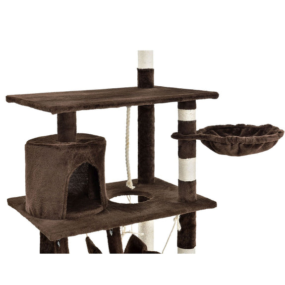 Katten Krabpaal - Chiara - Bruin - Afbeelding 6