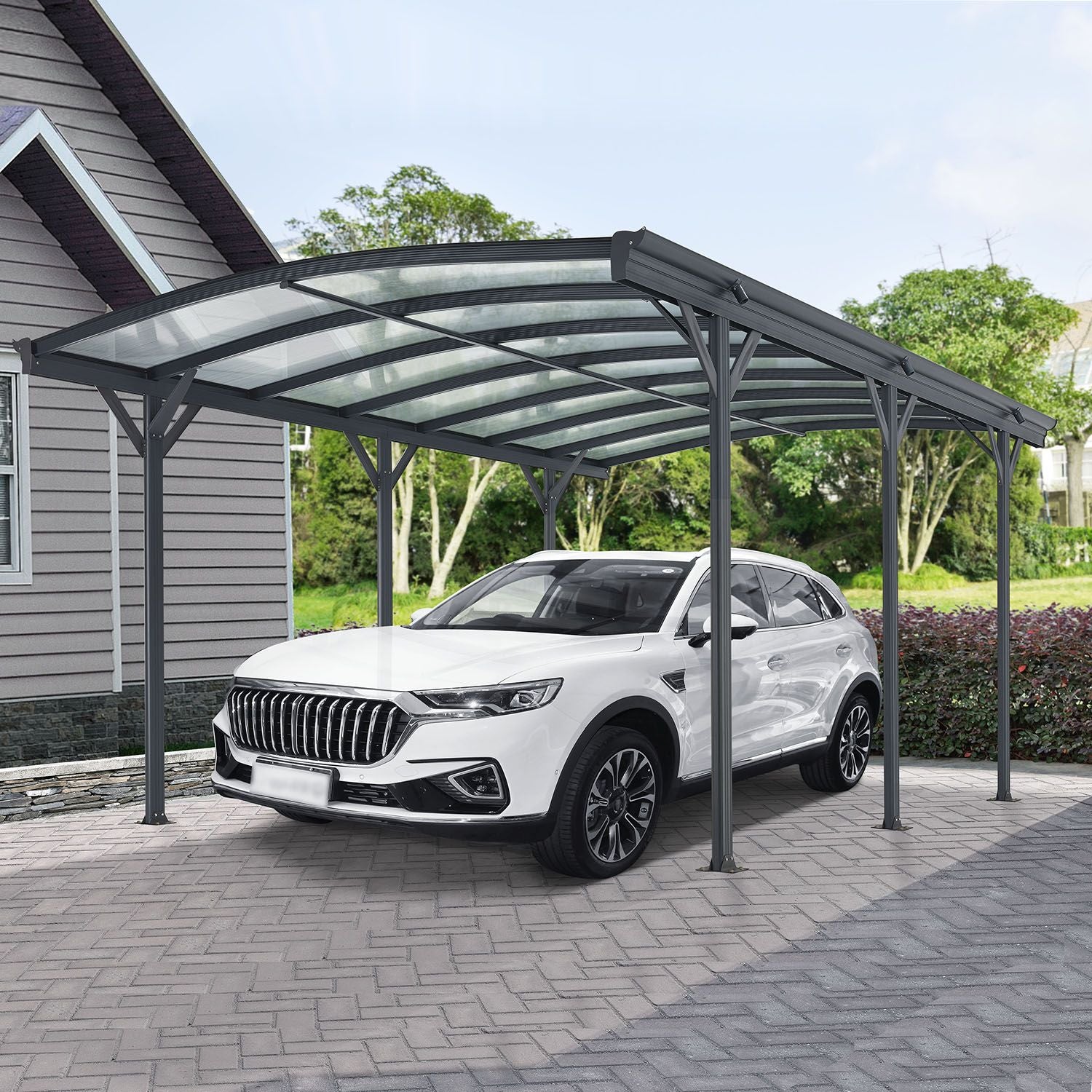 Carport / Terrasdak 5x3 m