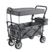 Inklapbare Bolderkar / Transportwagen - Max. 120 kg - Grijs - Incl. Dak & Tas