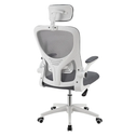 Ergonomische Bureaustoel - Baltimore - Wit / Grijs