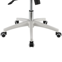Ergonomische Bureaustoel - Baltimore - Wit / Grijs