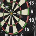 Elektronisch Dartbord - Incl. lcd-scherm - USB-C-poort - 18 darts