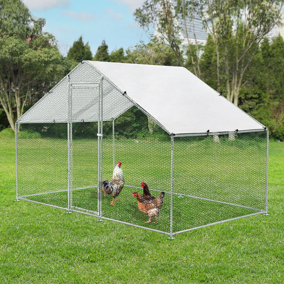 Kippenren / Kippenhok - HLS25T - 300 x 200 x 200 cm - Afbeelding 2
