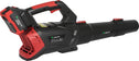Bladblazer Elektrisch - 20V - 2Ah Batterij - Zwart
