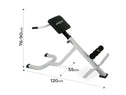 Rugtrainer - Buiktrainer - verstelbaar